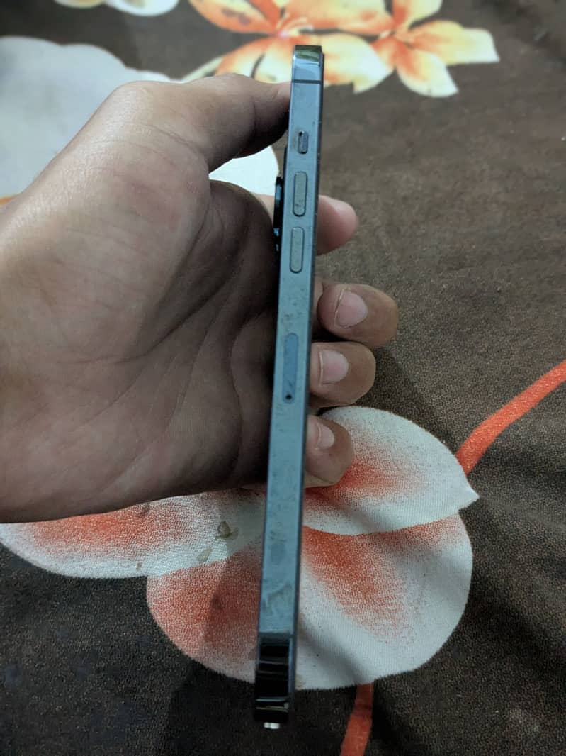 iPhone 12 Pro Max 2