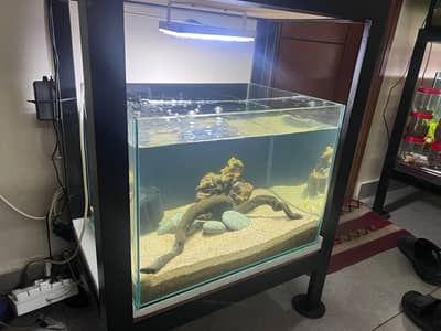 Aquarium | Fish Tank | 4 Aquarium with complete setup