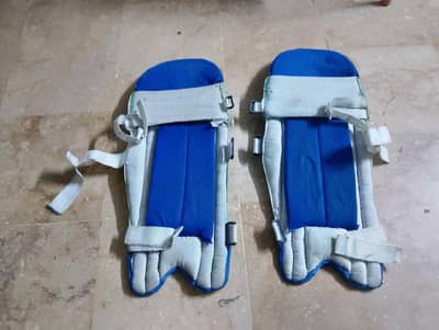 Gray-Nicolls Batting Pads  Used Few Months Good Condition