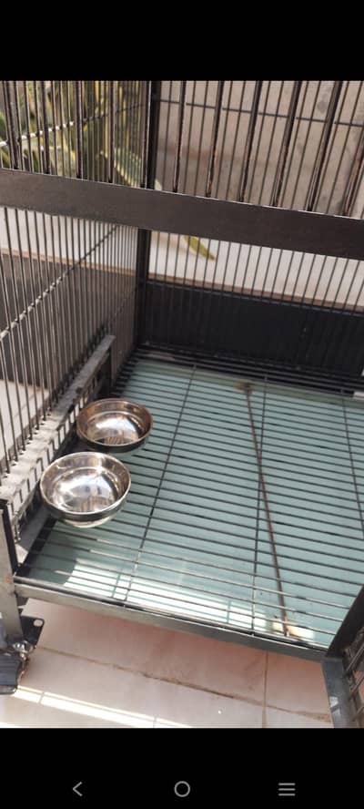 parrots customised cage