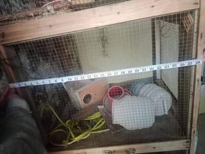 aseeel cage