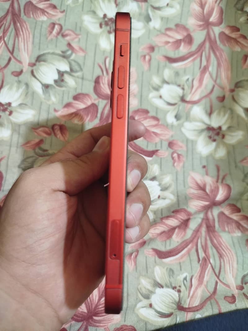 Apple iPhone 12 1