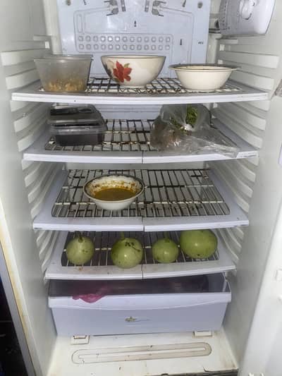 Pel refrigerator for sale