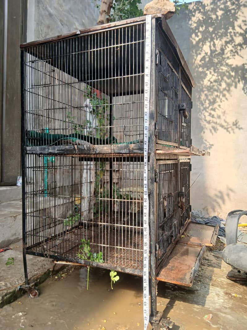 hen cage 0