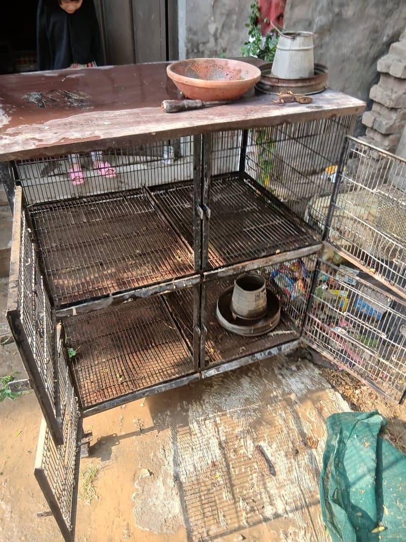 hen cage 1