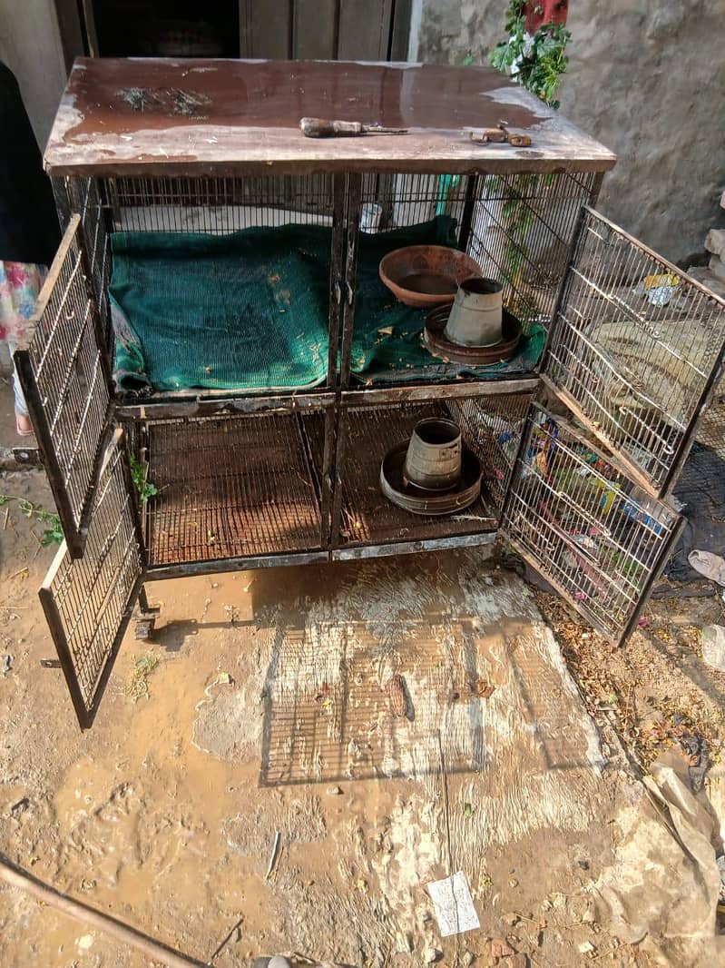 hen cage 2