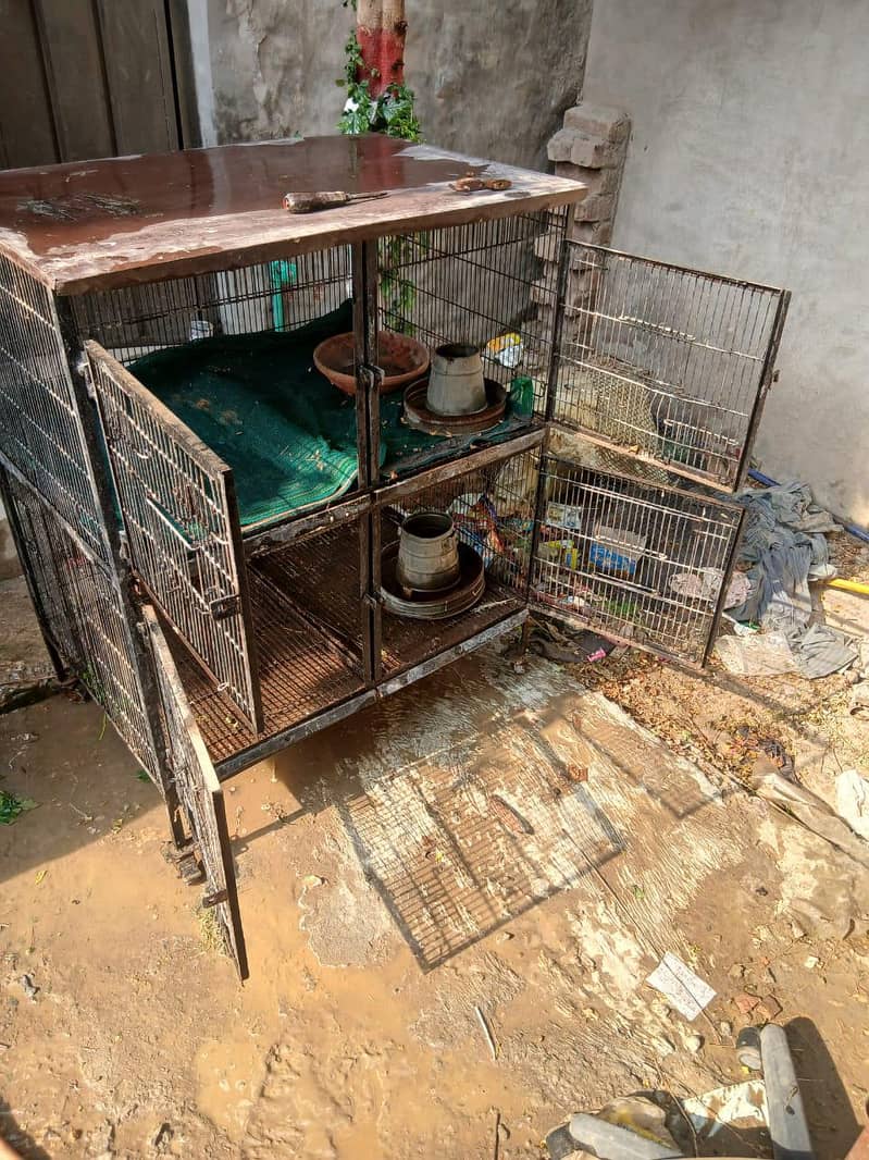 hen cage 3