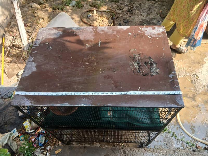 hen cage 4
