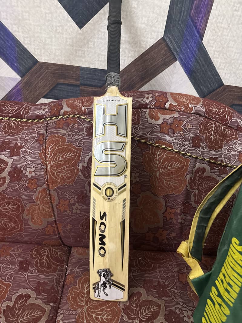 Cricket kit 1