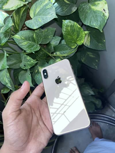 Apple iPhone XS