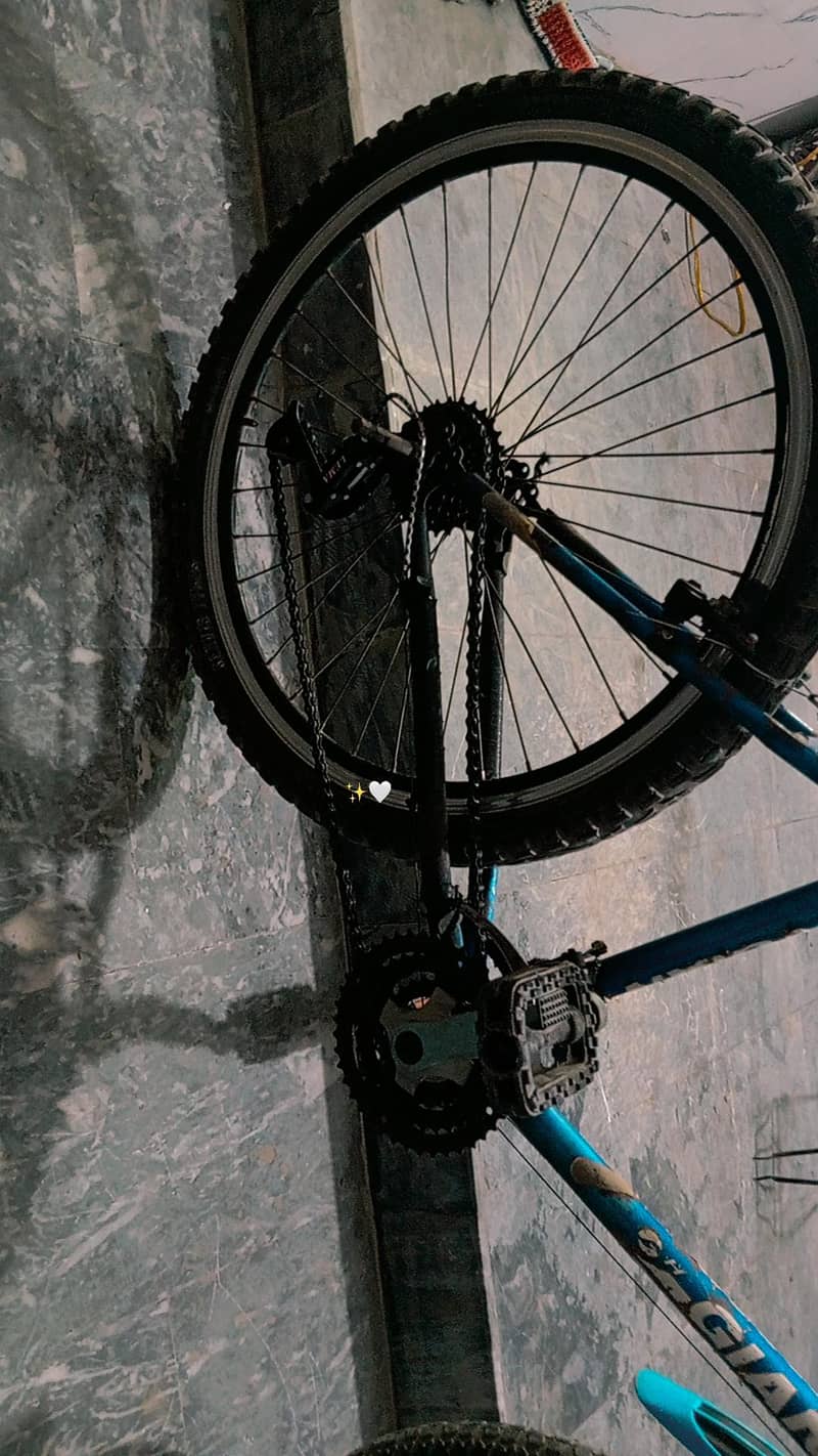 CYCLE 5