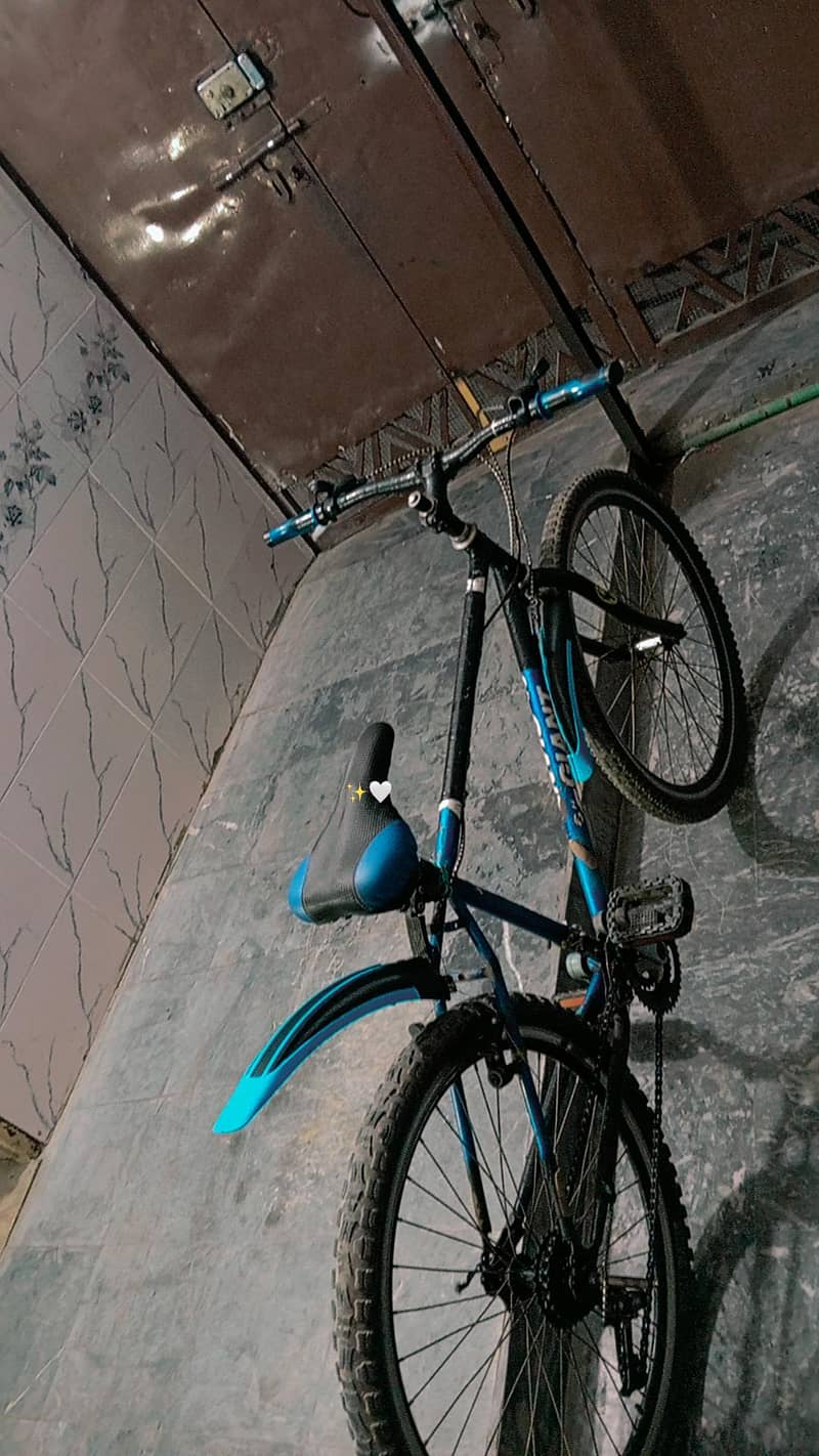 CYCLE 8