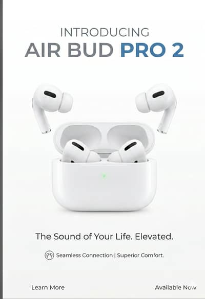 Air bud pro 2