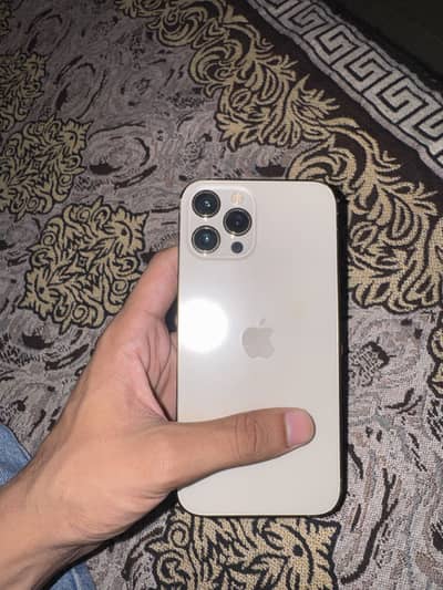 Apple iPhone 12 Pro Max