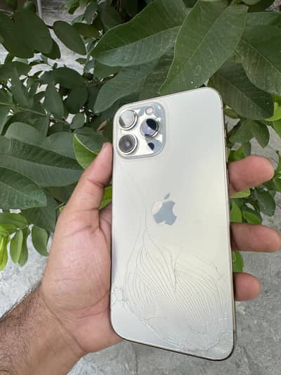 Apple iPhone 13 Pro Max 256GB dual PTA approved
