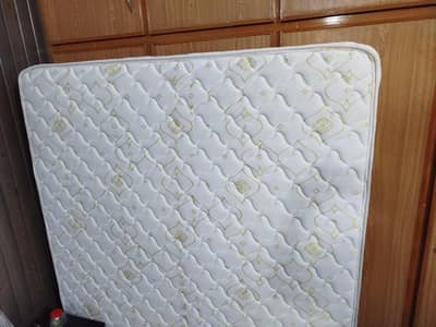 Master Molty Foam Alpha Spring 8 inch