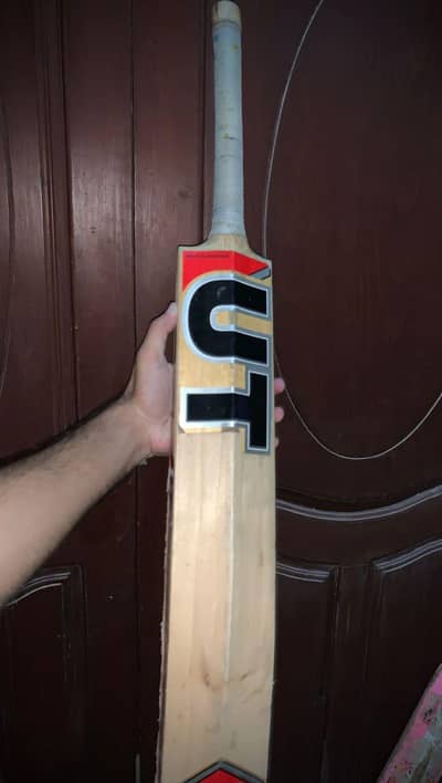 Hard ball bat