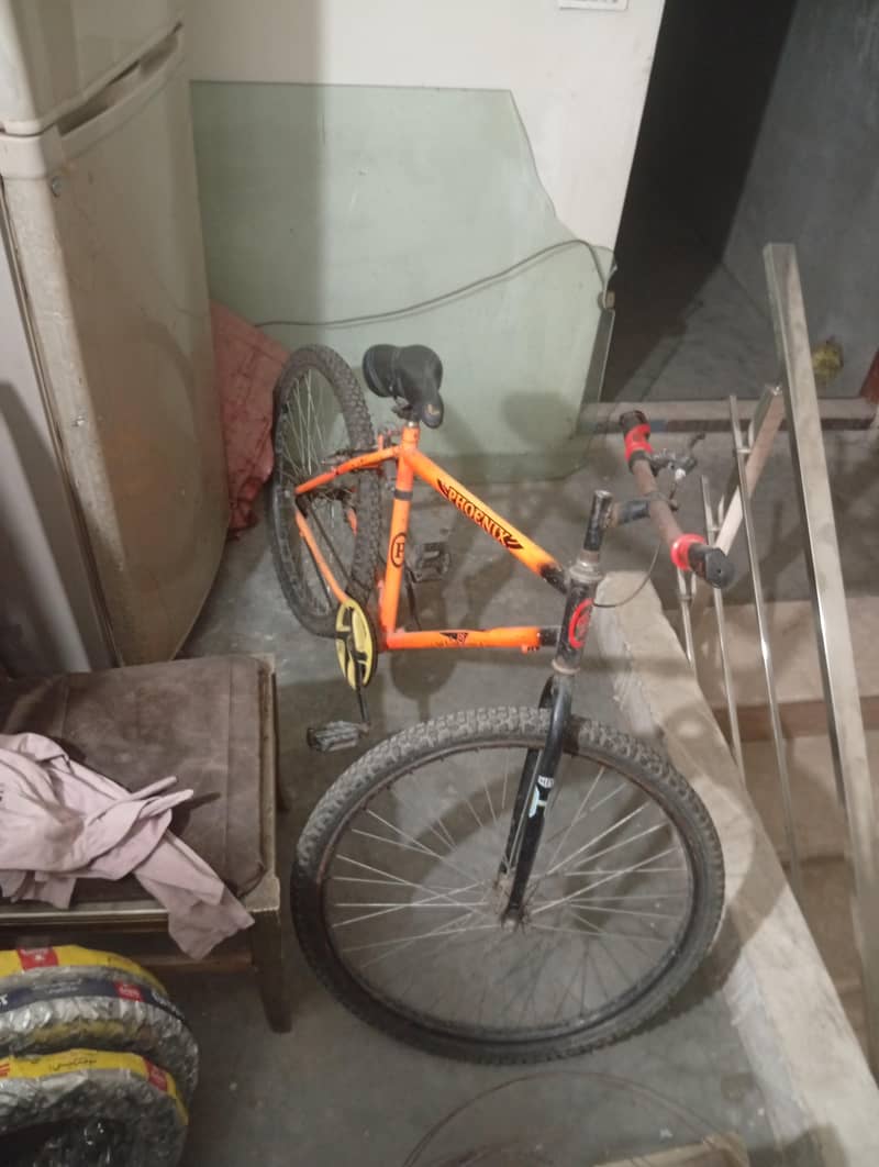 bicycle 2