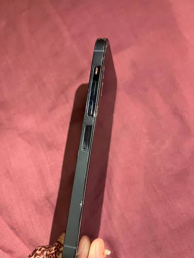 Apple iPhone 13 Pro Max pta