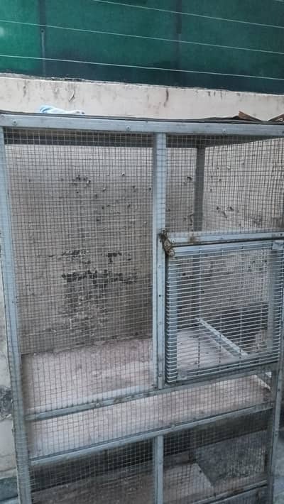 iron hen cage
