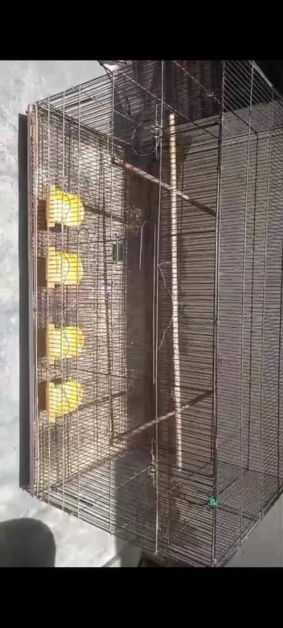 big master cage