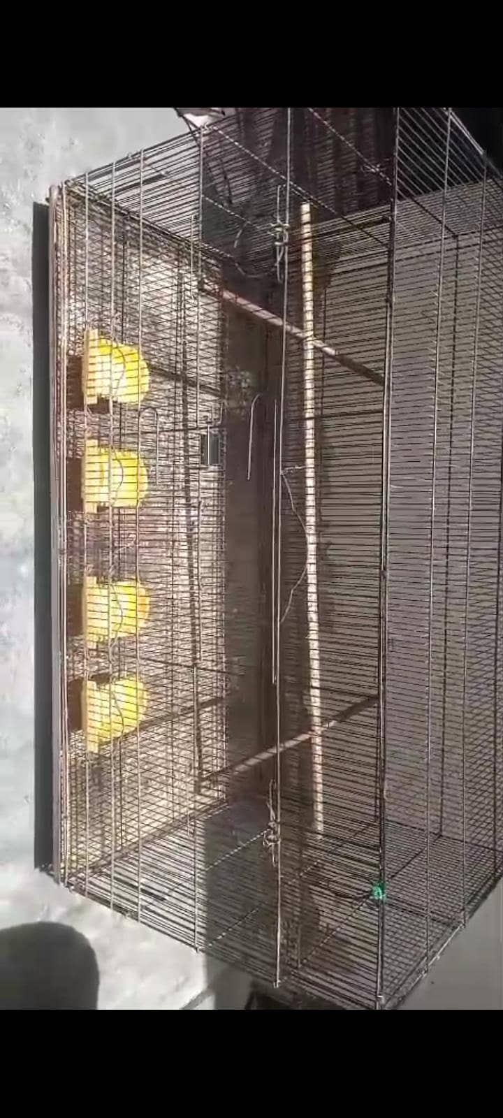 big master cage 0