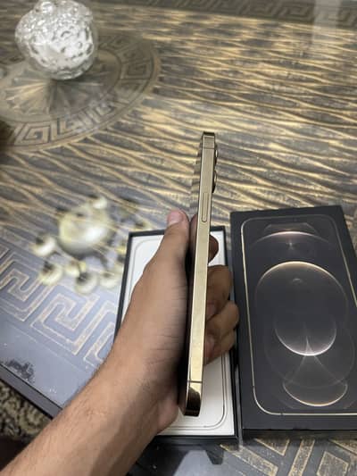 Apple iPhone 12 Pro Max only sale no exchange