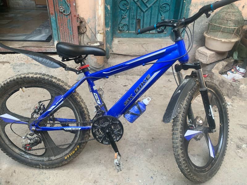 bicycle 0