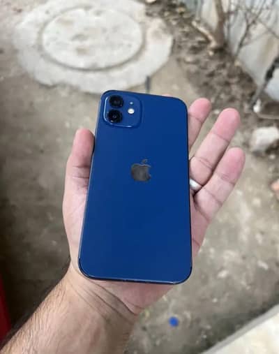 Apple iPhone 12