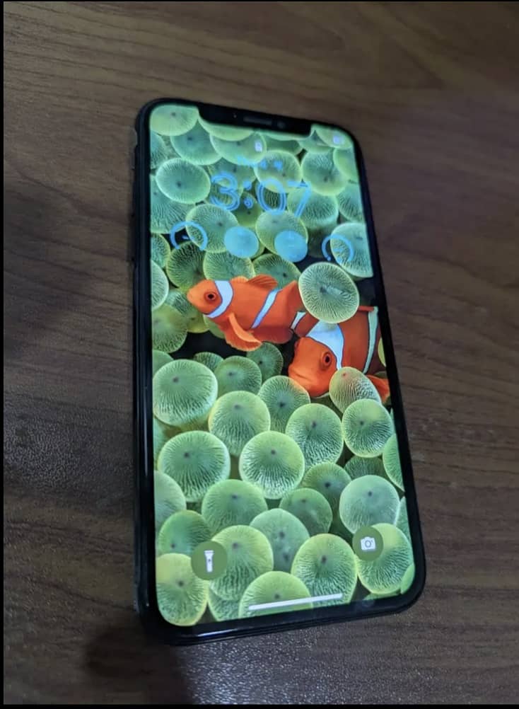 iPhone x 3