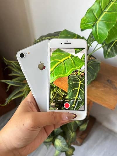 Apple iPhone 8 128GB full box Whatsapp no 03291198929
