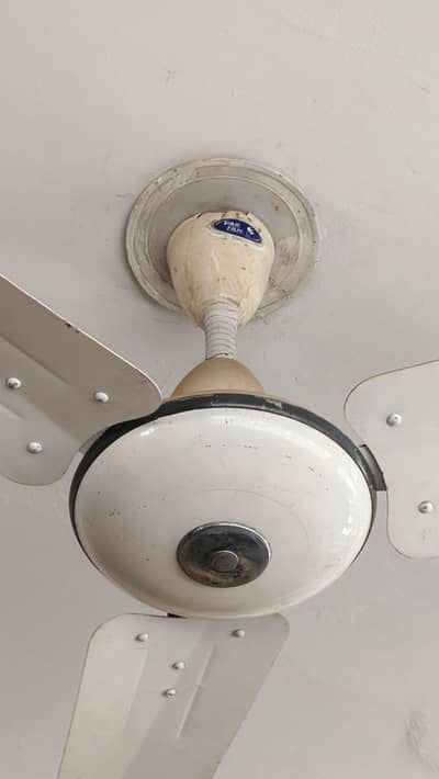Pak Fan 5000
