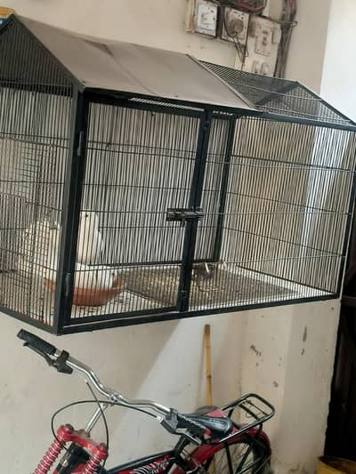 cage and pair