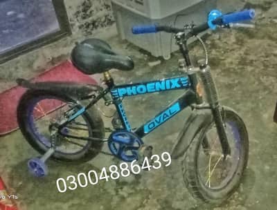 Phoenix Oval Kids Bicycle for Sale – Almost New