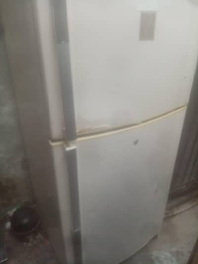 mediam sauz fridge