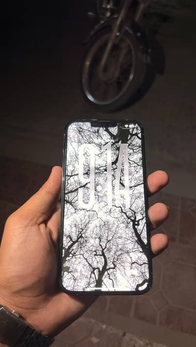 Apple iPhone 13 Pro Max