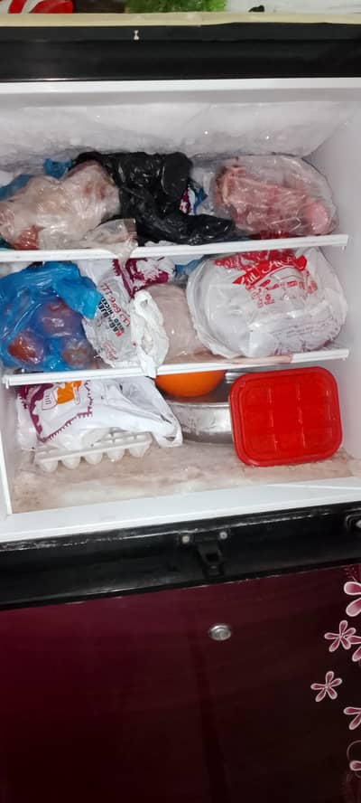 Pel Refrigerator