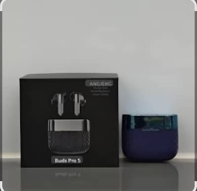 EARBUDS