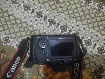 canon 6d full frame