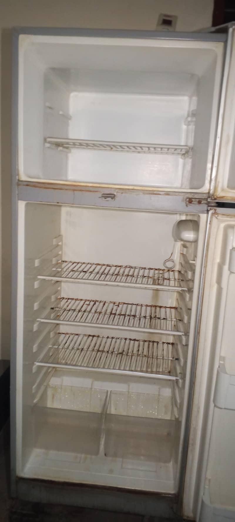 Fridge 1