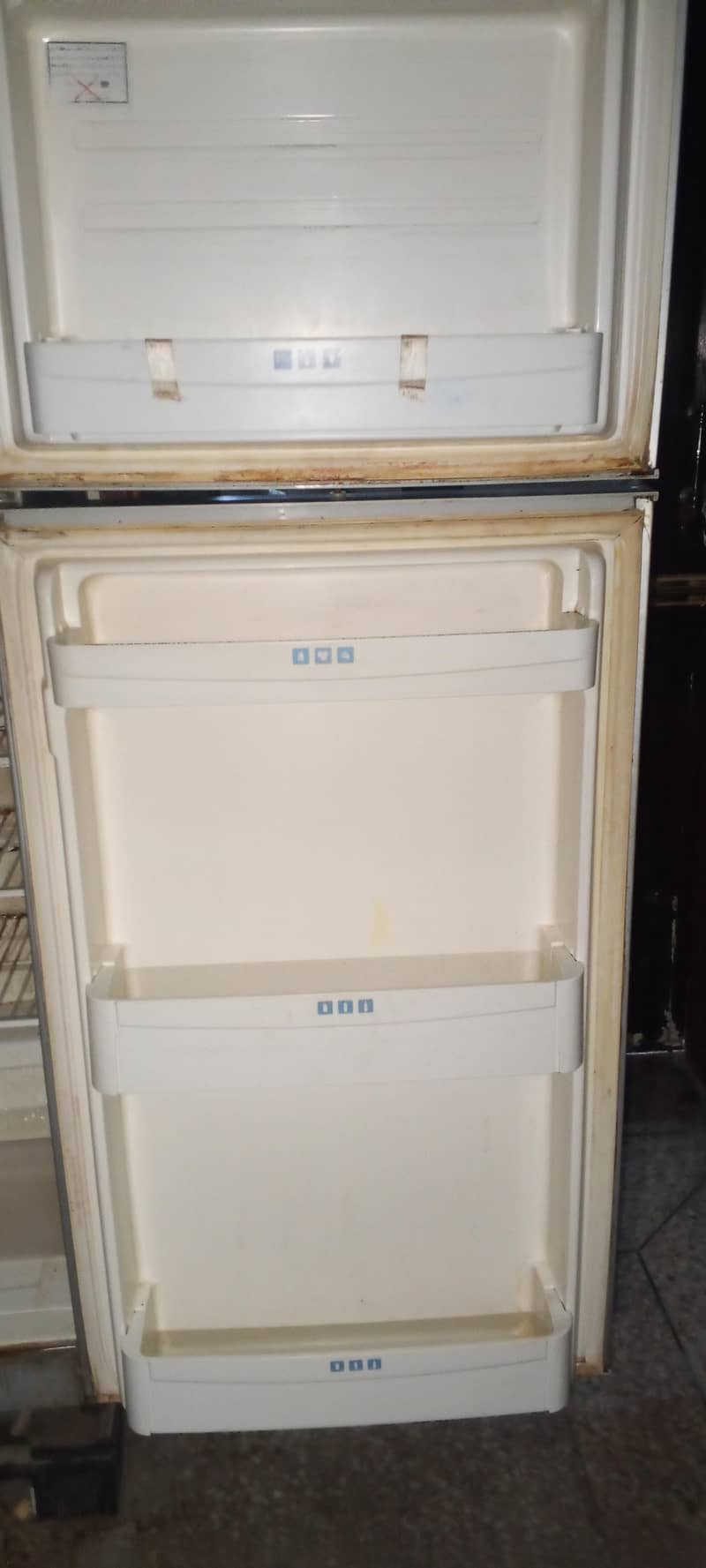 Fridge 2