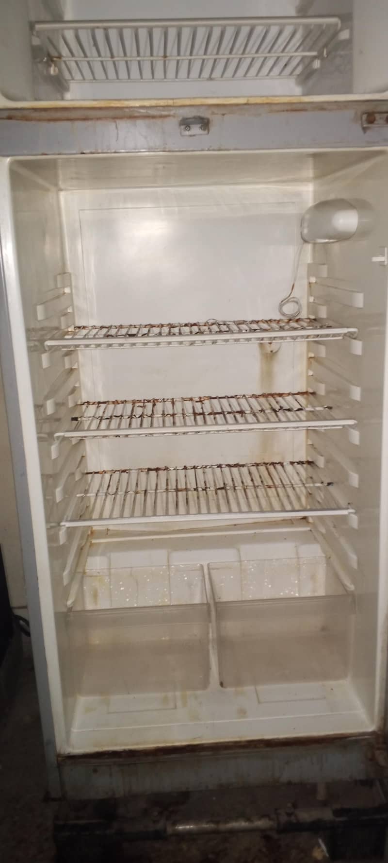 Fridge 3