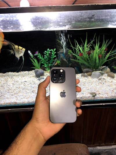 Apple iPhone 14 Pro