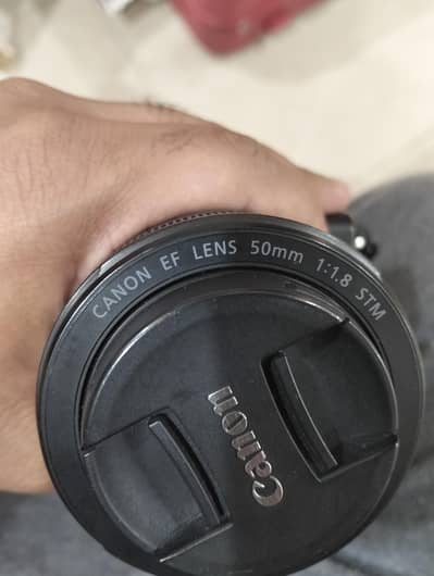 Canon EF 50mm F/1.8 STM Lens