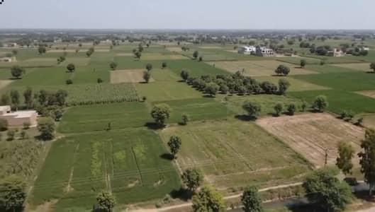 Lahore Organic Farms Society Located on Main Barki Road, Lahore.