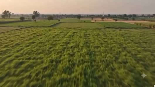 Lahore Organic Farms Society Located on Main Barki Road, Lahore.