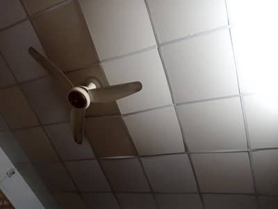 Room ceiling off white 16 by 14 area covered