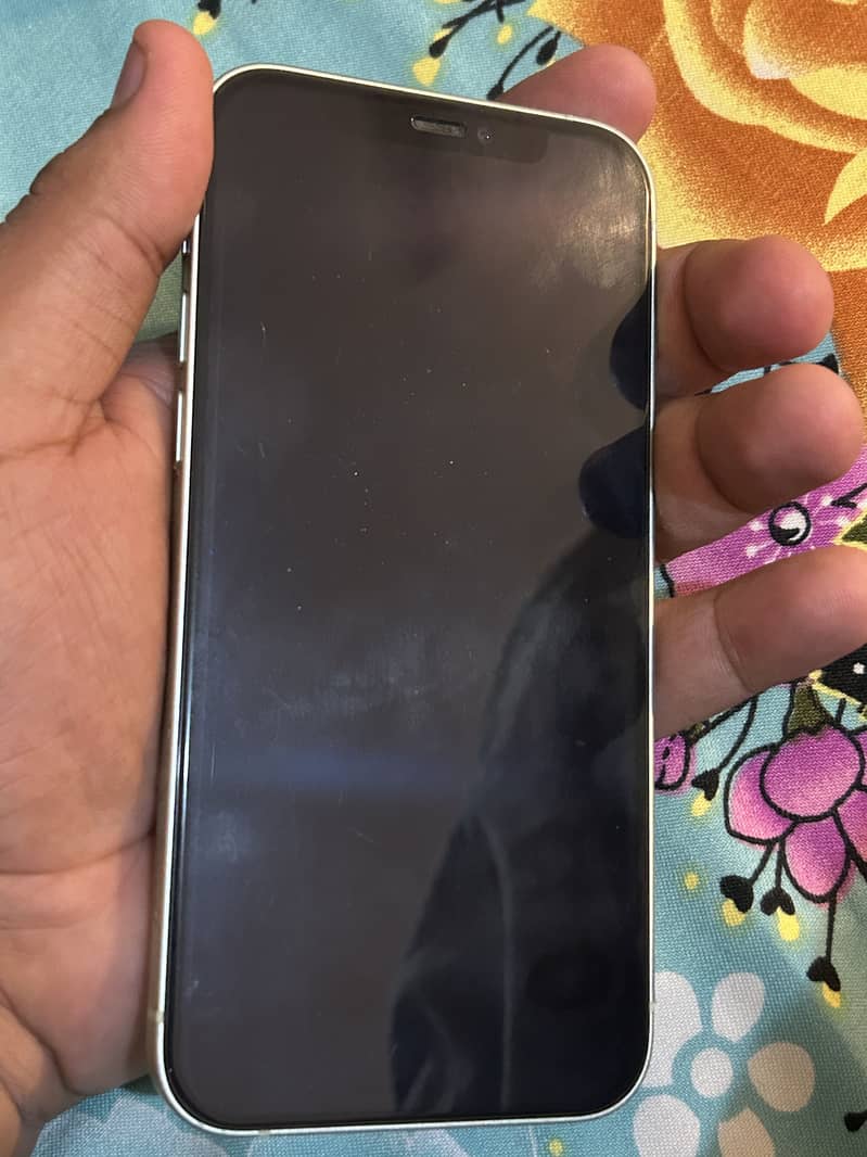 Apple iPhone 12 1