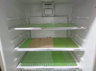 Kenwood jambo size