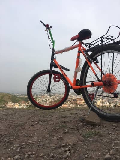 phoenix cycle